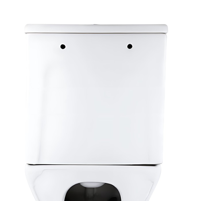 Бачок до унітазу-компакту Mixxus Style-0403-R Tank 620х360х800 зі зливною арматурою (MI8331)