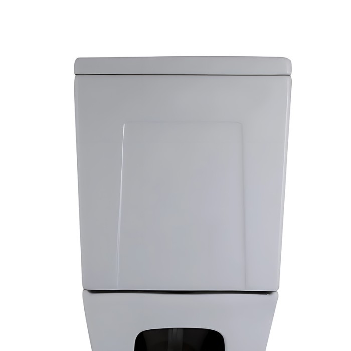 Бачок до унітазу-компакту Mixxus Premium Style-0401-T3 Tank 620х365х805 зі зливною арматурою (MI8328)