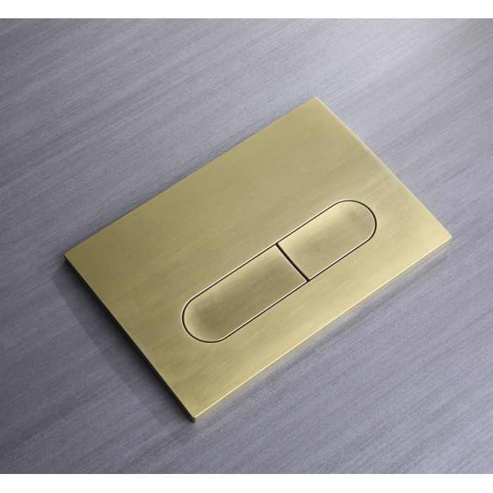Панель змиву Koer KT-0608-12 240x160x10mm пластик., кнопка закруглена (колір матове золото) (KR6126)