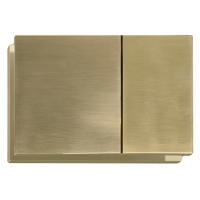 Панель змиву Koer KT-0610-12 240x160x32mmmm пластикова, кнопка квадратна (колір матове золото) (KR6137)